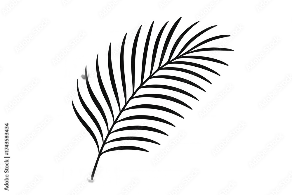 Obraz premium Tropical palm tree leaf silhouette vector illustration, drawing minimal natural plant graphic on transparent background