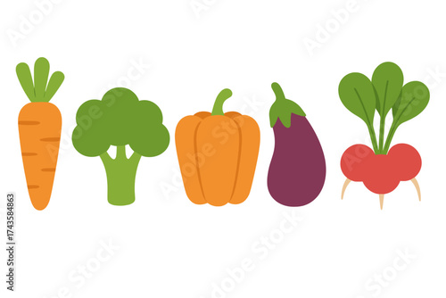 Colorful row of fresh organic vegetables including carrot broccoli pepper eggplant and radish