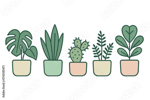 Minimalist row of five different potted houseplants including tropical foliage and desert succulents