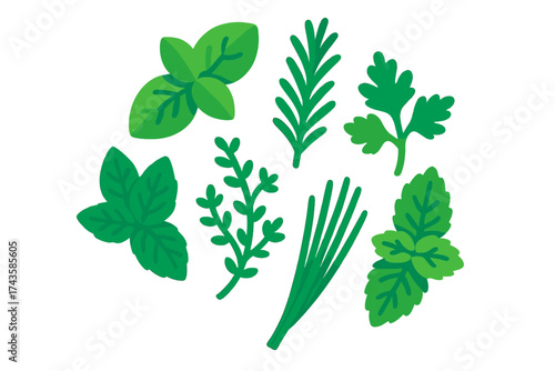 Assortment of fresh green culinary herbs: basil, rosemary, parsley, thyme, chives