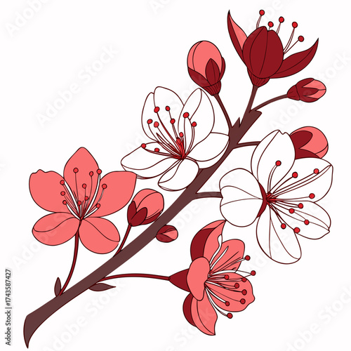 Delicate cherry blossom branch with blooming flowers and unopened buds in shades of pink and deep red