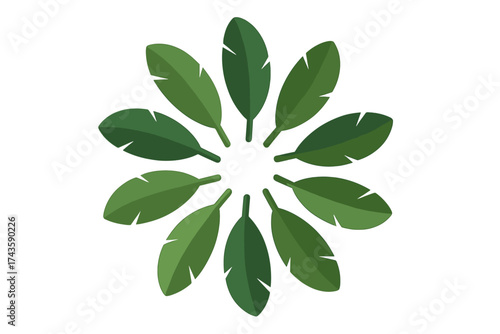 Abstract circular arrangement of tropical banana leaves forming a decorative floral pattern
