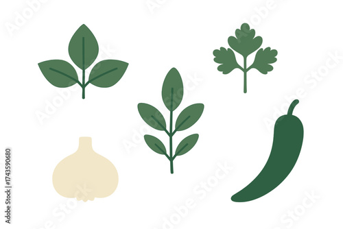 Fresh cooking ingredients set with garlic, chili pepper, and aromatic herb leaves