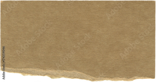 Wallpaper Mural Brown kraft torn paper piece. Textured ripped cardboard scrap with space from text. Background for vintage-inspired designs and paper crafts, scrapbooking Torontodigital.ca