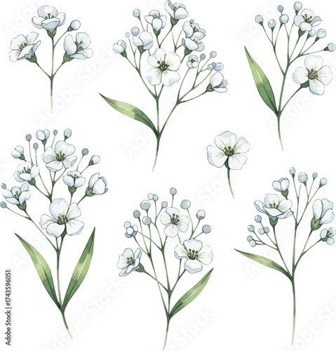 Watercolor Baby's Breath Clipart Set: Delicate White Gypsophila Flowers