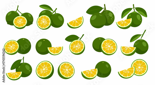 A seamless pattern of whole halved and sliced green citrus fruits with yellow pulp