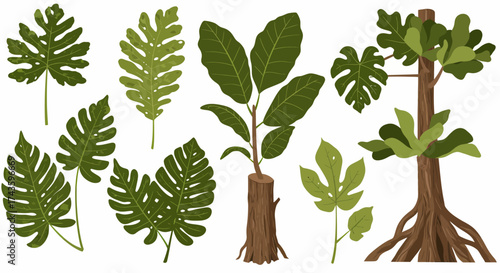 Assortment of green tropical leaves and tree trunks on a white background