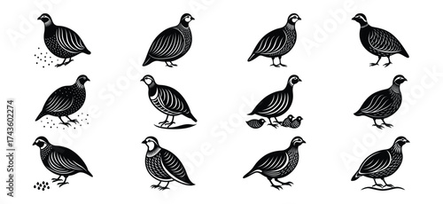 Collection of cute yellow ducklings in various adorable poses and activities