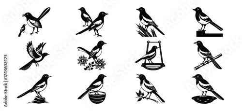 Collection of cute cartoon mice characters engaged in various activities and celebrations