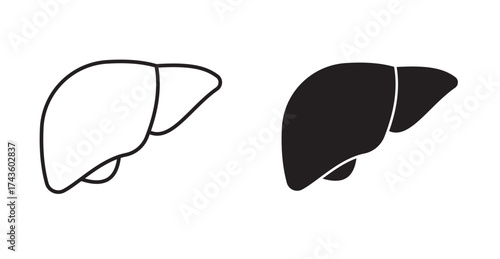 A liver icon is a visual representation of the liver, often depicted as a dark-red organ situated in the upper right-hand portion of the abdomen.