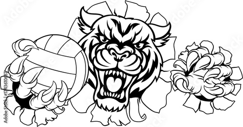 Wallpaper Mural Tiger Volleyball Volley Ball Animal Sports Mascot Torontodigital.ca