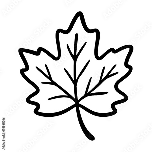 Simple maple leaf illustration vector