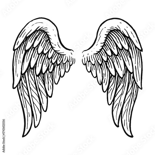 Elegant angel wings illustration vector