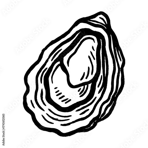 Intricate oyster shell illustration vector