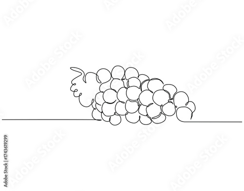 Continuous one line drawing of grapes fruit. One line drawing illustration of bunch of grapes. Healty fruit concept single line. Editable outline