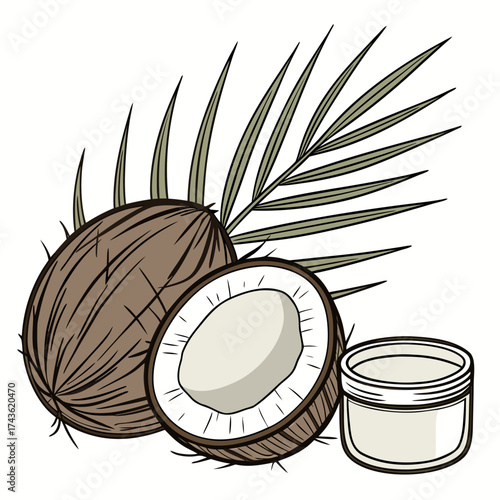 Whole and halved coconuts with a palm frond and a jar of coconut oil on a white background