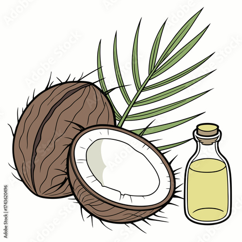 Whole and halved coconuts with a palm frond and a bottle of coconut oil