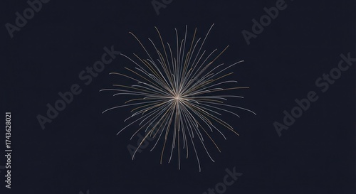 Abstract celebratory firework burst against dark sky backdrop illuminating festive atmosphere