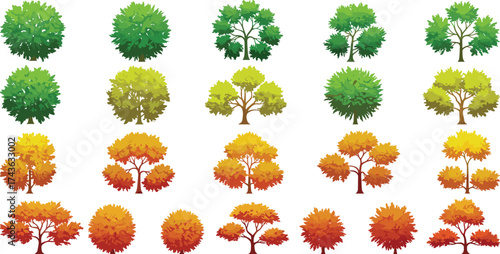 Seasonal tree illustrations, foliage transition, autumn trees, green to red leaves, botanical graphics, nature clipart, vector trees, landscape design, tree set, colorful canopy