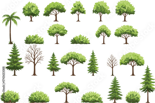 Tree and bush silhouettes, botanical shapes, nature icons, foliage forms, palm tree, deciduous trees, coniferous trees, bare branches, green shrubs