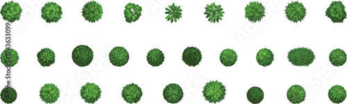 Top view shrubs collection, green bush foliage pack, landscaping vegetation set, garden design elements, nature illustration, isolated plant textures