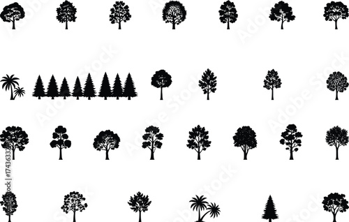 Tree silhouettes, black vector trees, forest icons, nature shapes, deciduous trees, coniferous trees, palm trees, foliage set, botanical clipart, landscape design