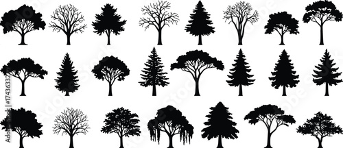Tree silhouettes, forest elements, botanical shapes, nature icons, foliage outlines, deciduous trees, coniferous trees, bare branches, vector trees, black silhouettes