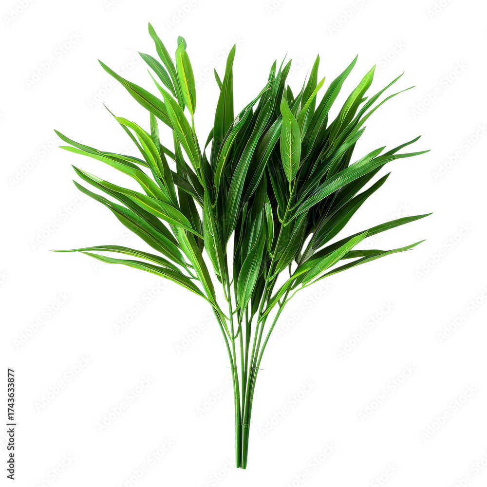 Fototapeta premium Realistic green leaves bunch perfect for home decor or wedding arrangements in any setting