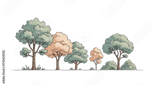 Top View Green Trees Vector Set – Botanical Elements for Outdoor Plan, Map, and Architecture Drawing