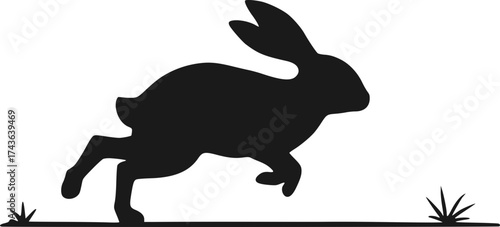 Design of rabbit running draw