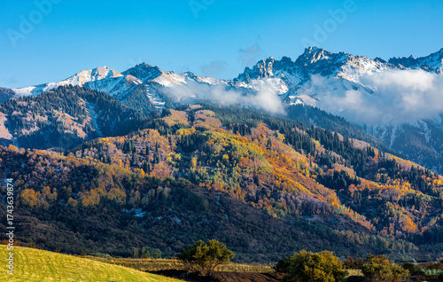 mountain landscape in the morning
