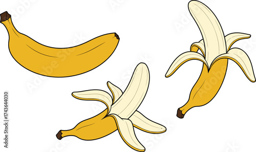 Banana illustration vector graphic fresh fruit yellow peel art