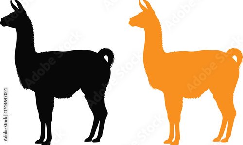 Llama silhouette vector image for design and creative projects