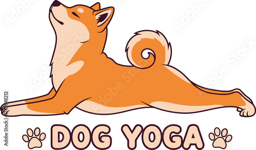 Shiba inu dog yoga illustration animal stretching exercise pet