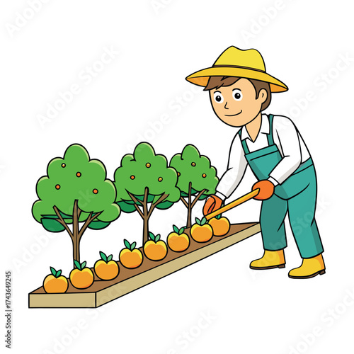 Farmer Harvesting Fruit in the Garden