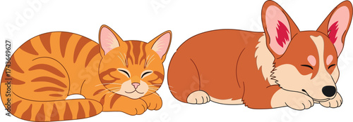 Sleeping cat and corgi dog illustration cute pet animals art aditable
