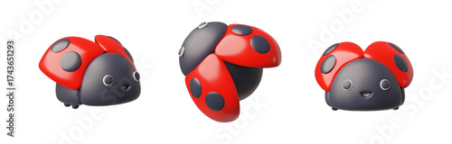 Ladybug or ladybird different sides view realistic 3D vector icons set, red beetle insect black dots pattern on wings