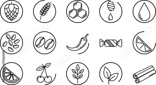 Food ingredients vector icons set organic natural flavorings aditable