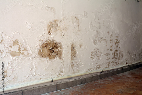 Konstfotografi Wall with Damp Stains and Saltpeter Efflorescence Caused by Rising Capillary Moi