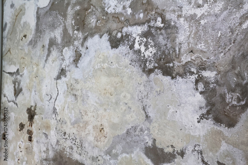 Cuadro en lienzo Wall with Damp Stains and Saltpeter Efflorescence Caused by Rising Capillary Moi