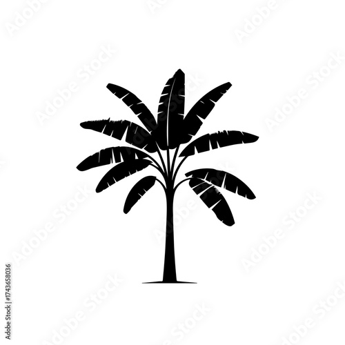 Banana Tree Vector Design – Exotic Tropical Fruit Plant Illustration
