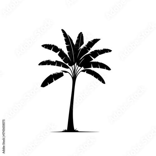 Banana Tree Vector Design – Tropical Farm Exotic Fruit Illustration