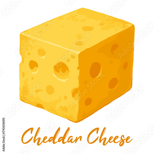cheddar cheese in watercolor illustration style, isolated vector on white background