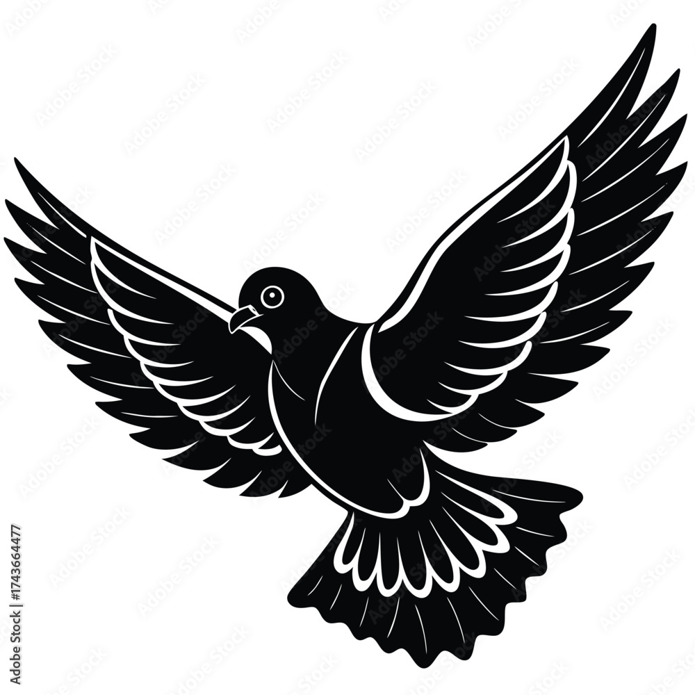 Obraz premium Black dove in flight with outstretched wings