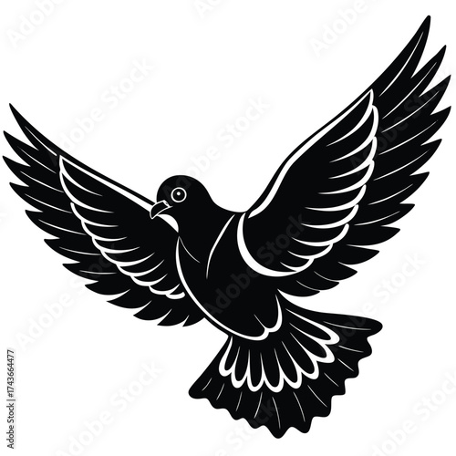 Black dove in flight with outstretched wings
