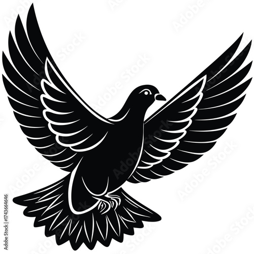Black dove in flight with outstretched wings against a