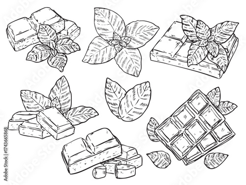 Set of isolated hand drawn Chocolate bar and mint leaves outline drawing illustration