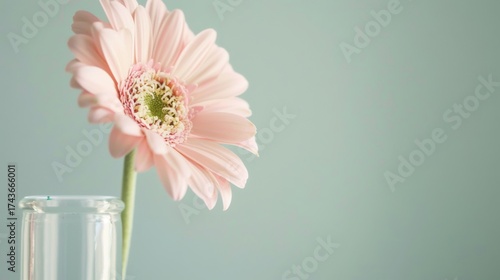 Wallpaper Mural Spring & Summer Floral Beauty: Pink Roses, Purple Peonies, and Daisy Bouquets in Garden Arrangements Torontodigital.ca