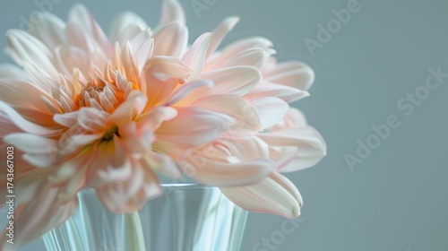 Wallpaper Mural Spring & Summer Floral Beauty: Pink Roses, Purple Peonies, and Daisy Bouquets in Garden Arrangements Torontodigital.ca