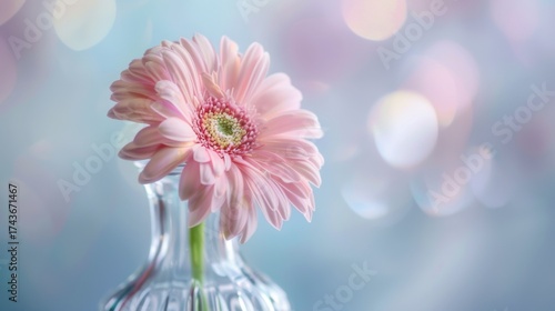 Wallpaper Mural Spring & Summer Floral Beauty: Pink Roses, Purple Peonies, and Daisy Bouquets in Garden Arrangements Torontodigital.ca